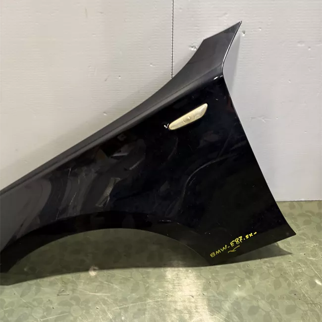 Parafango anteriore sinistro