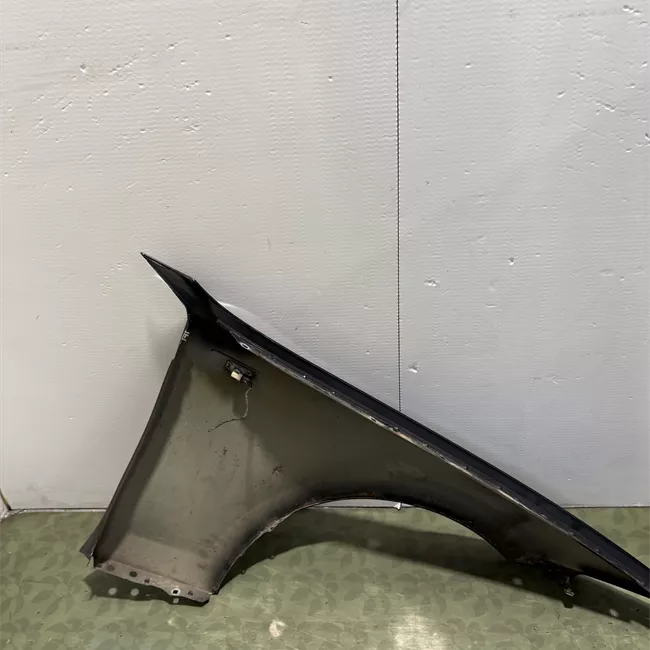 Parafango anteriore sinistro