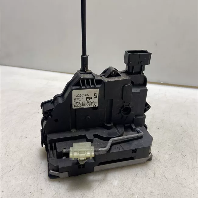 Serratura porta posteriore sinistra