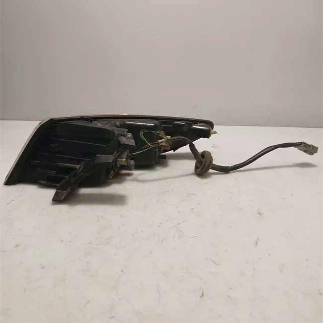 Fanale posteriore parte esterno sinistro