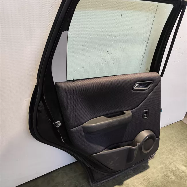 Porta posteriore sinistra