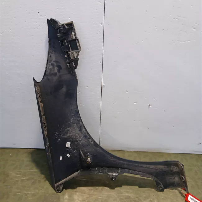 Parafango anteriore sinistro