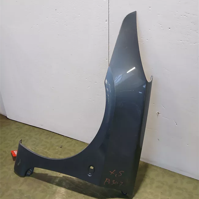 Parafango anteriore sinistro