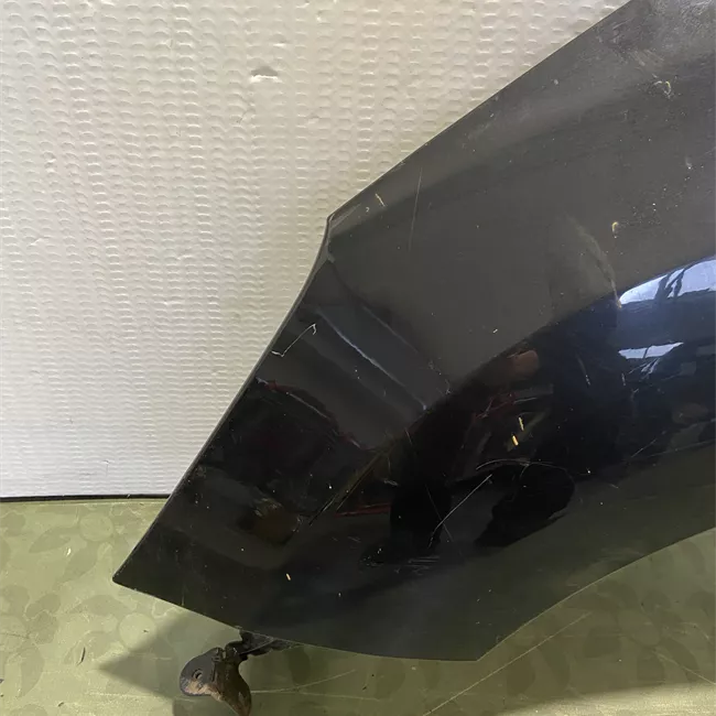 Parafango anteriore sinistro