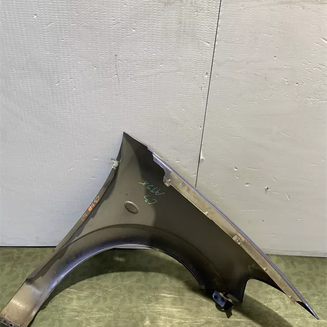 Parafango anteriore sinistro