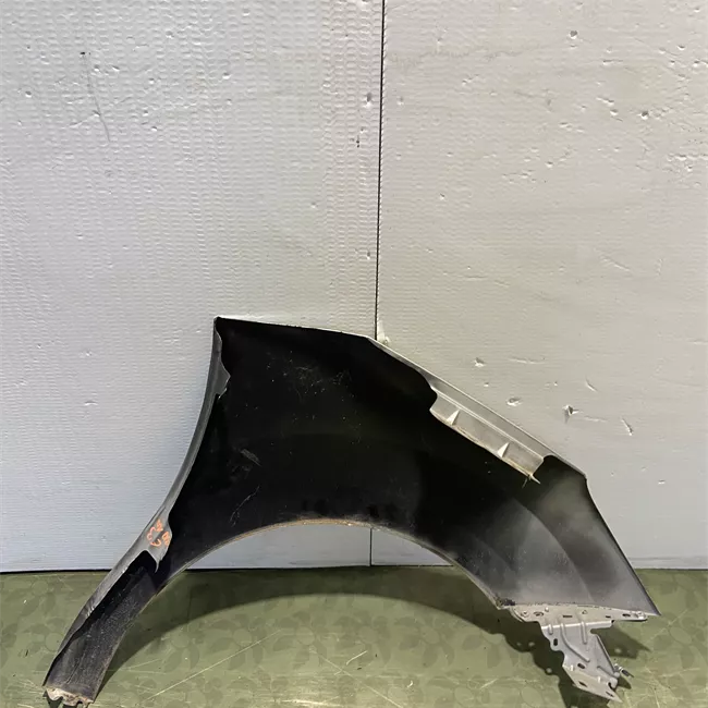 Parafango anteriore sinistro