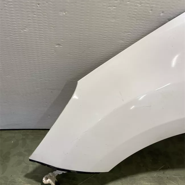 Parafango anteriore sinistro