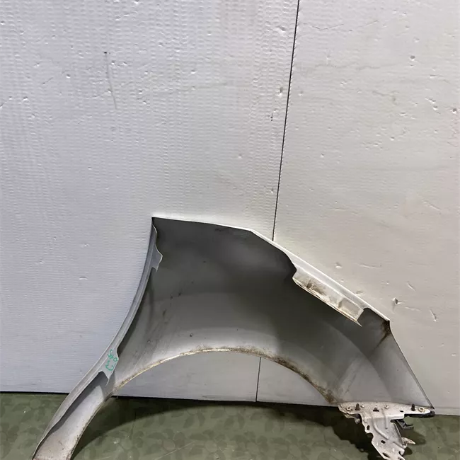 Parafango anteriore sinistro