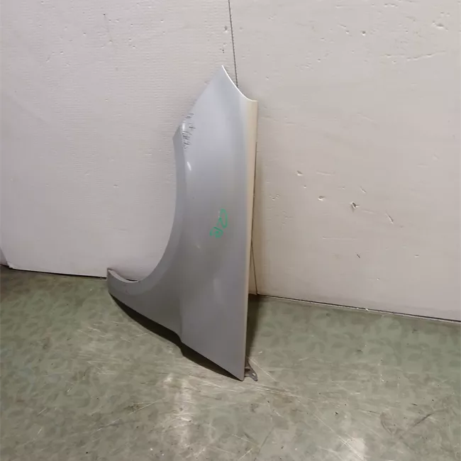 Parafango anteriore sinistro