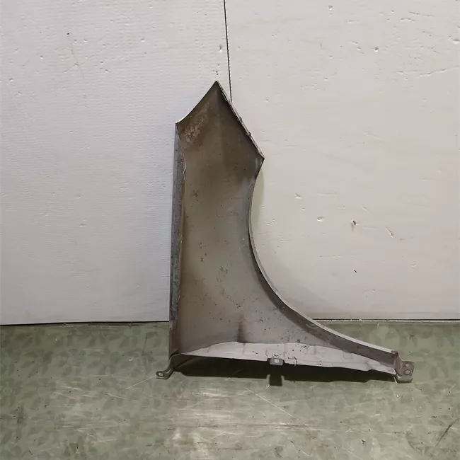 Parafango anteriore sinistro