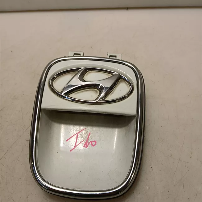 Maniglia portello posteriore