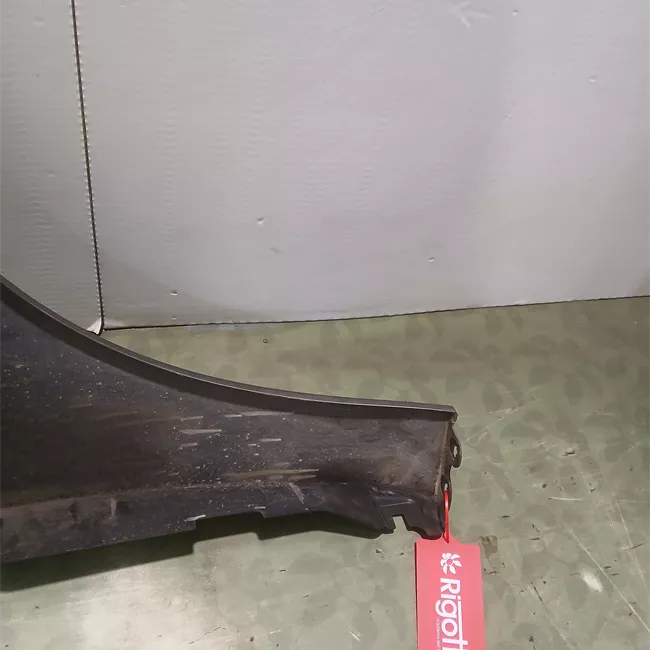 Parafango anteriore sinistro