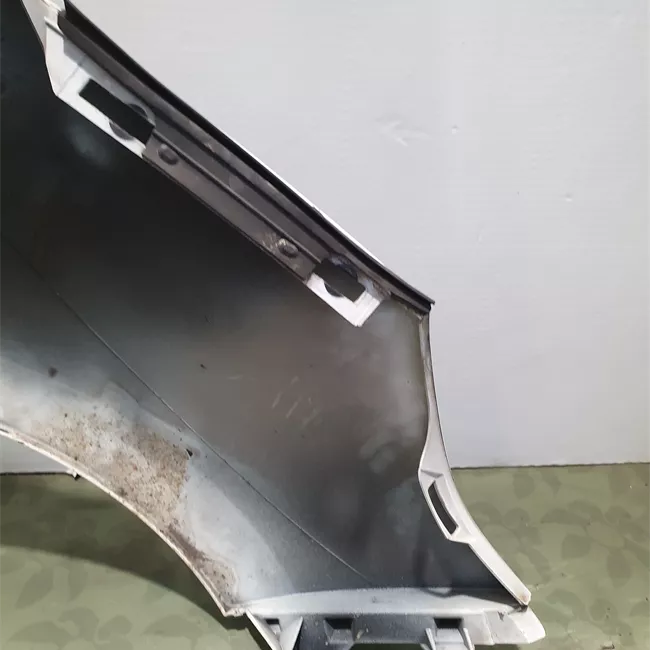 Parafango anteriore sinistro