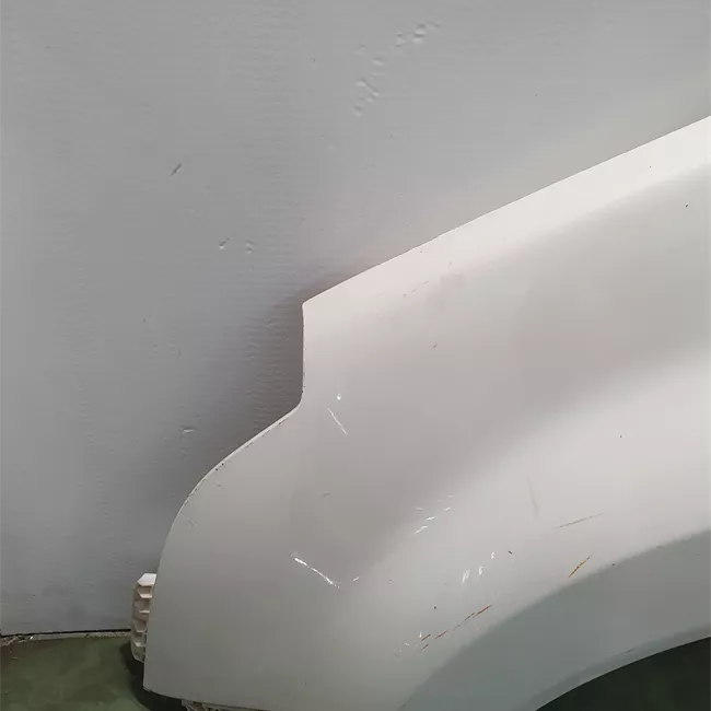 Parafango anteriore sinistro