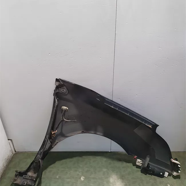 Parafango anteriore sinistro