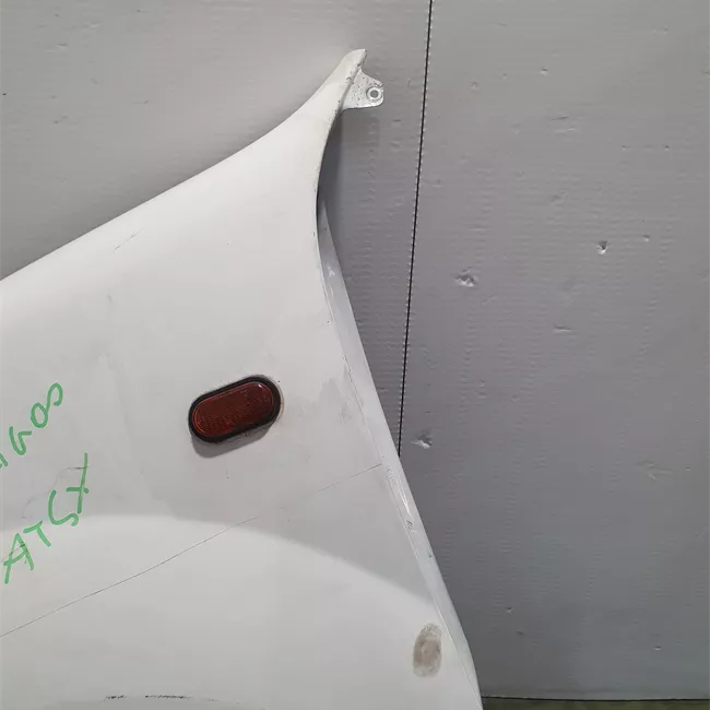 Parafango anteriore sinistro