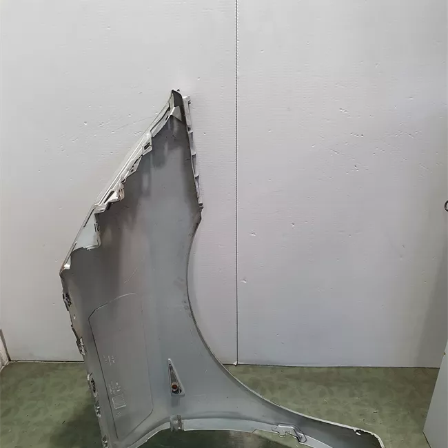 Parafango anteriore sinistro