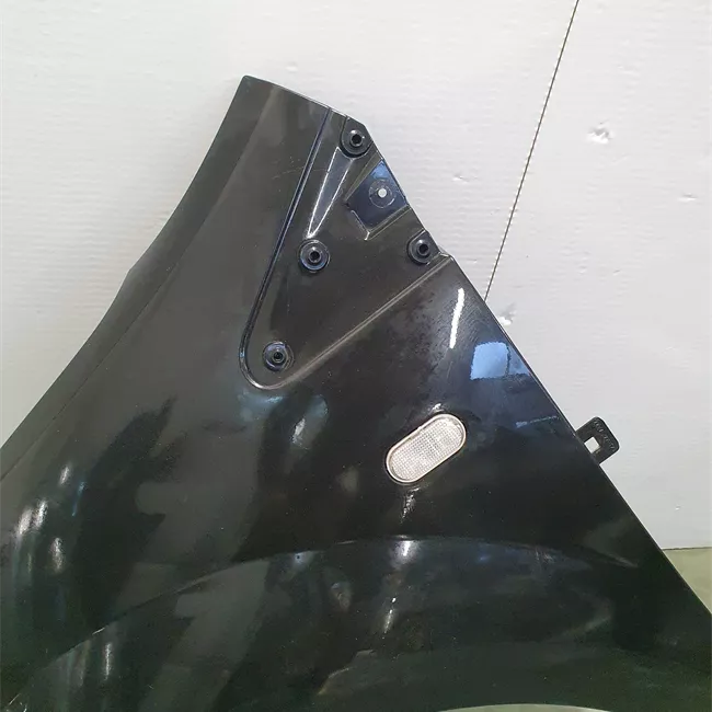 Parafango anteriore sinistro