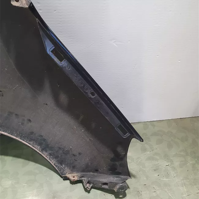 Parafango anteriore sinistro