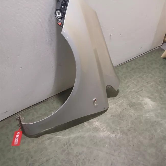 Parafango anteriore sinistro