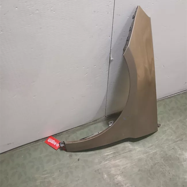 Parafango anteriore sinistro