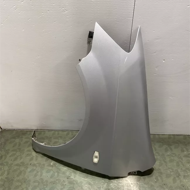 Parafango anteriore sinistro