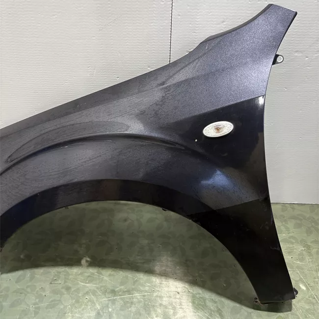 Parafango anteriore sinistro