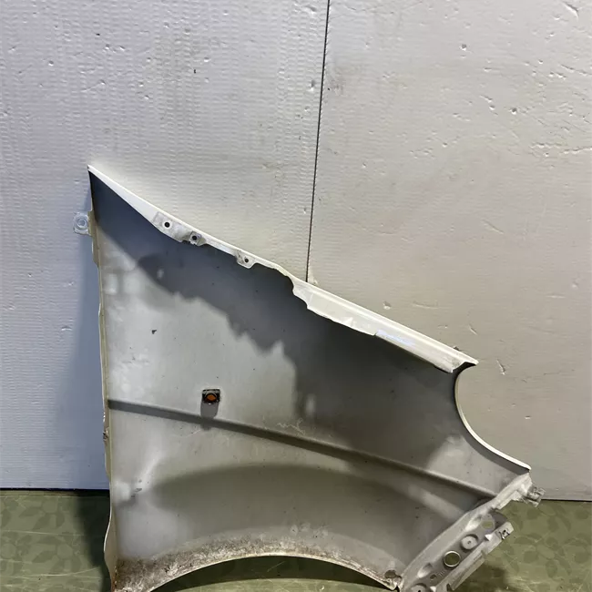 Parafango anteriore sinistro