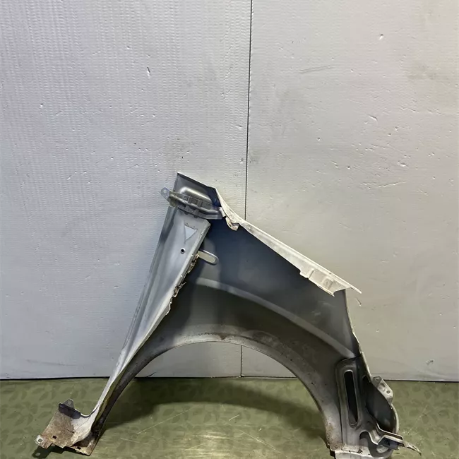 Parafango anteriore sinistro