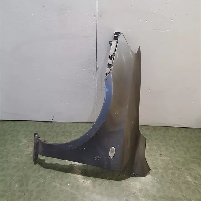 Parafango anteriore sinistro