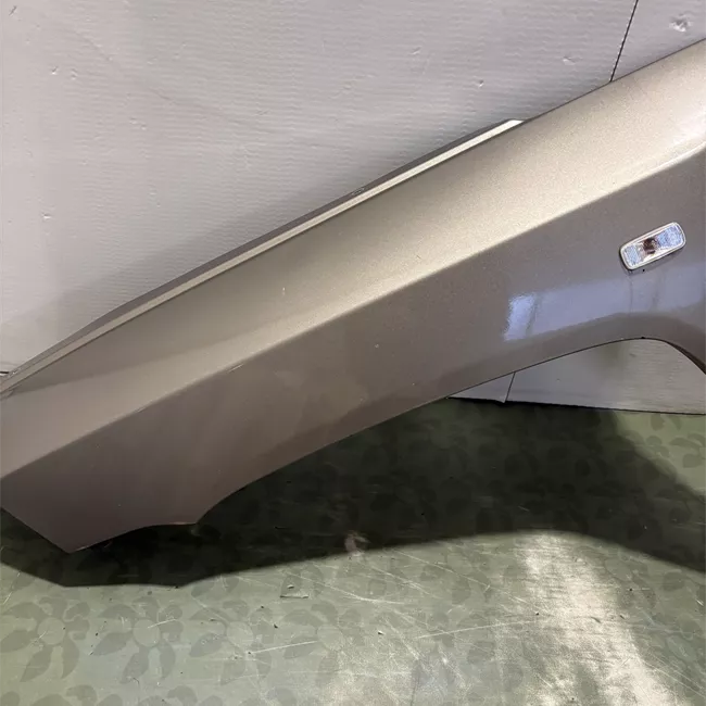 Parafango anteriore sinistro con supporto ant