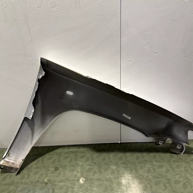 Parafango anteriore sinistro