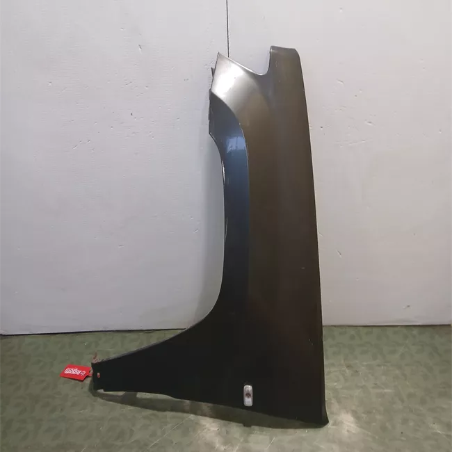 Parafango anteriore sinistro