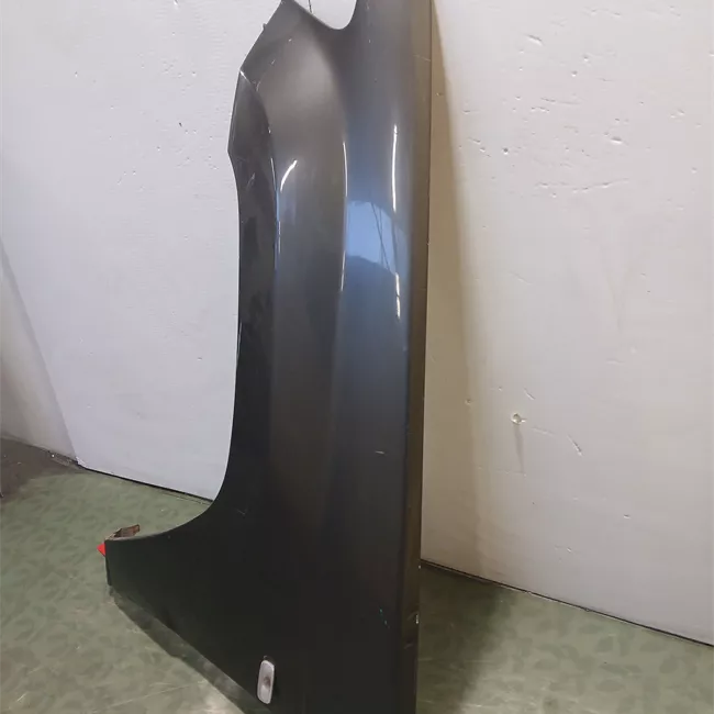 Parafango anteriore sinistro