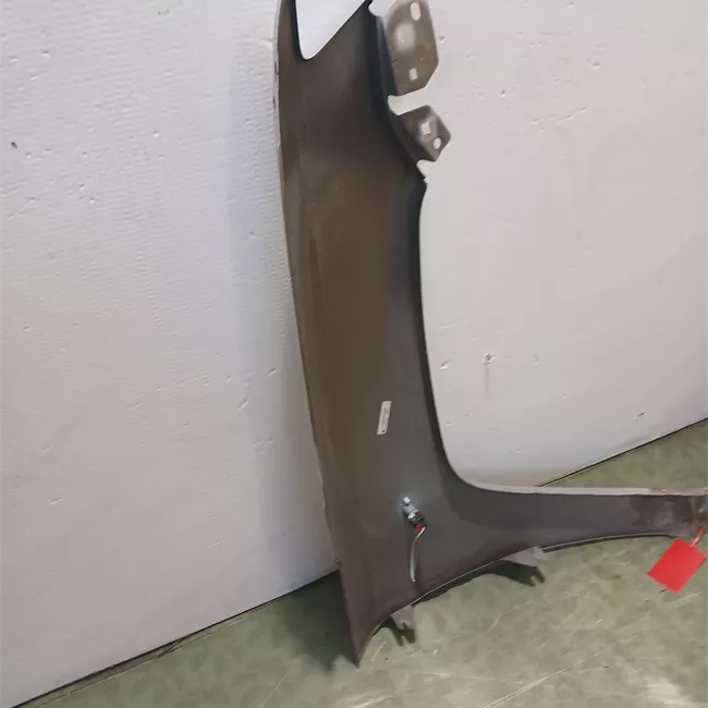 Parafango anteriore sinistro