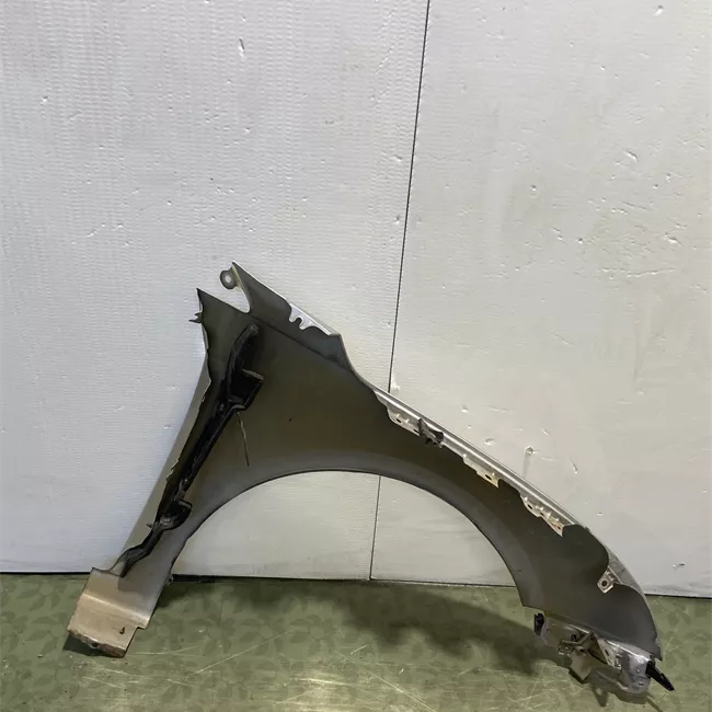 Parafango anteriore sinistro