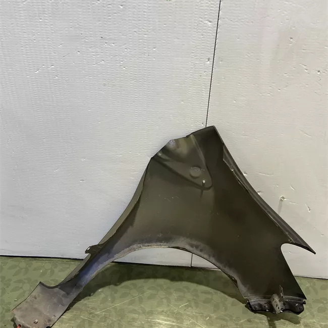 Parafango anteriore sinistro