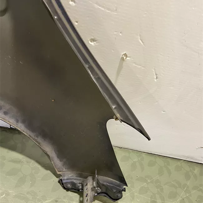 Parafango anteriore sinistro