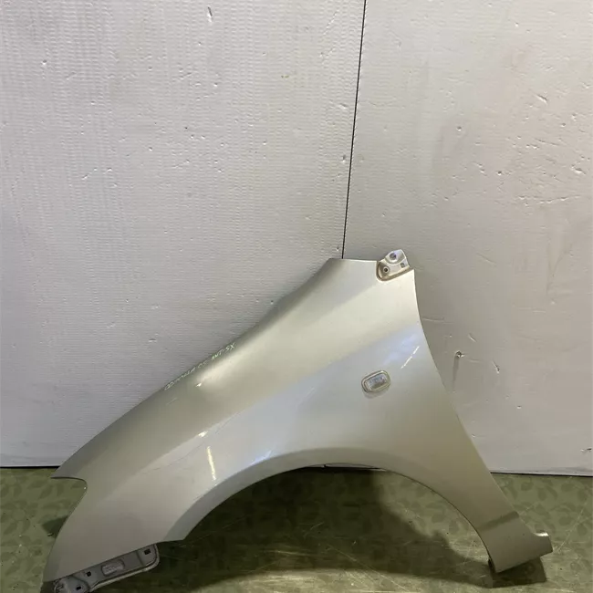 Parafango anteriore sinistro