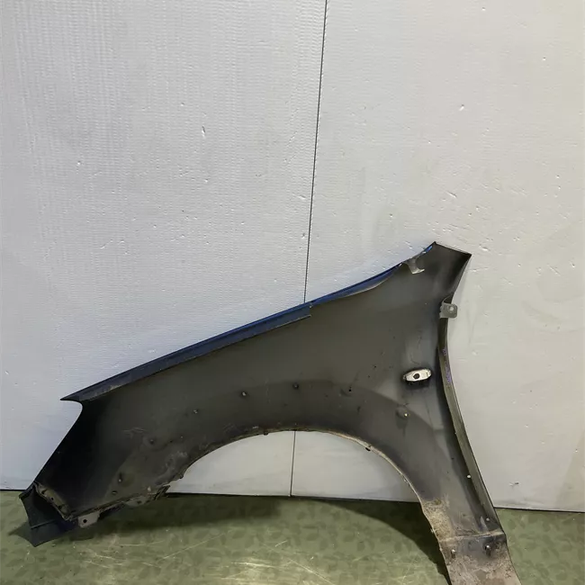 Parafango anteriore destro con guarnizione