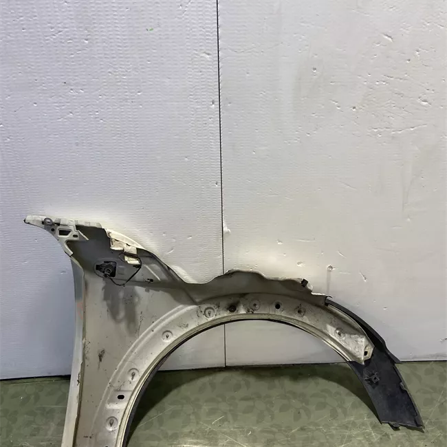 Parafango anteriore sinistro
