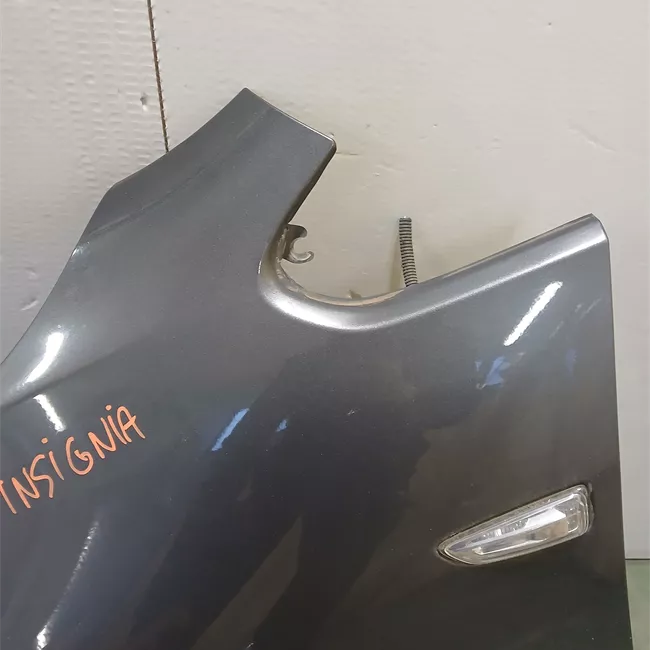 Parafango anteriore sinistro