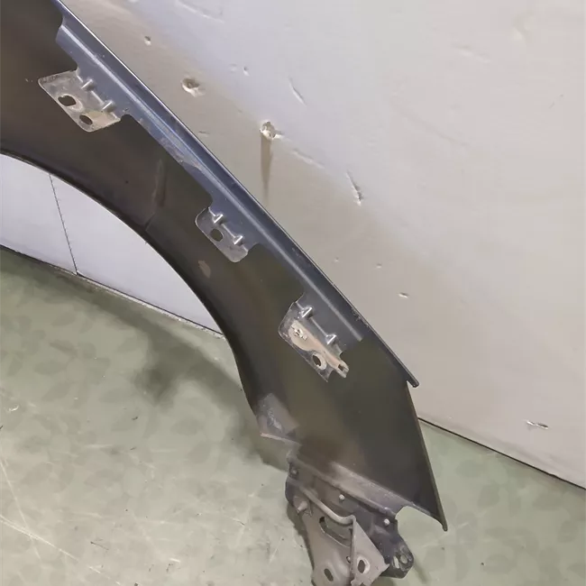 Parafango anteriore sinistro