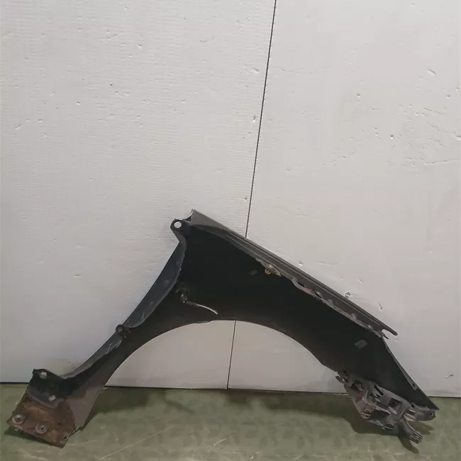 Parafango anteriore sinistro