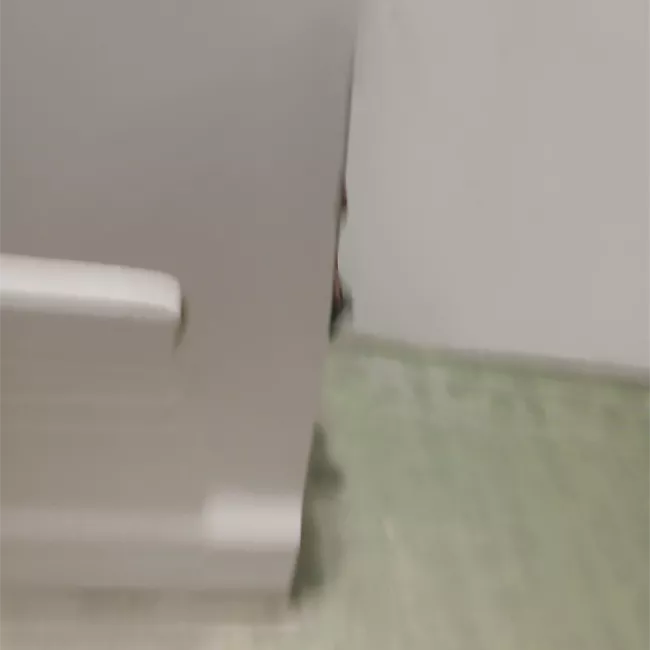 Porta anteriore destra