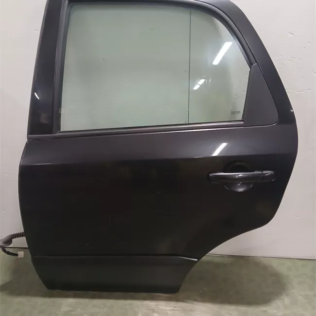 Porta posteriore sinistra