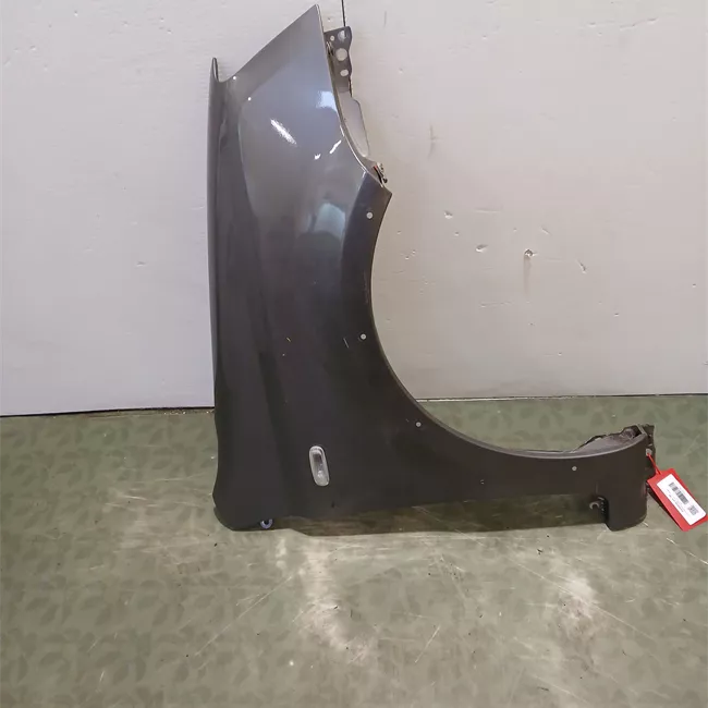 Parafango anteriore destro