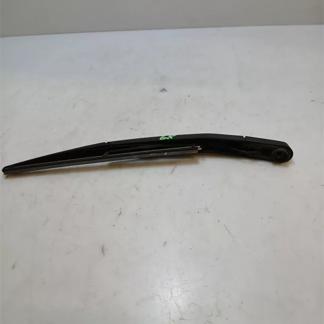 Braccio con spazzola tergilunotto