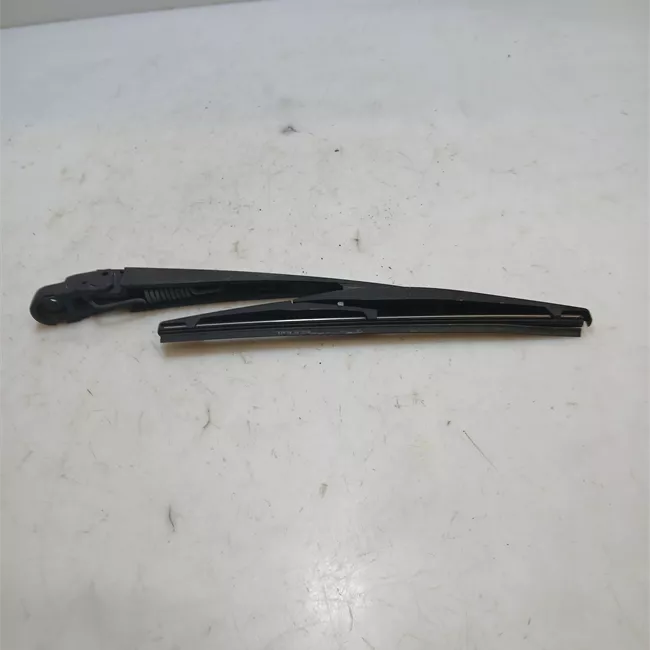 Braccio tergilunotto