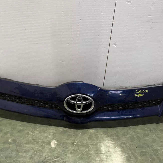 Griglia paraurti anteriore 05-07<